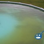 How to Fix a Cloudy Swimming Pool