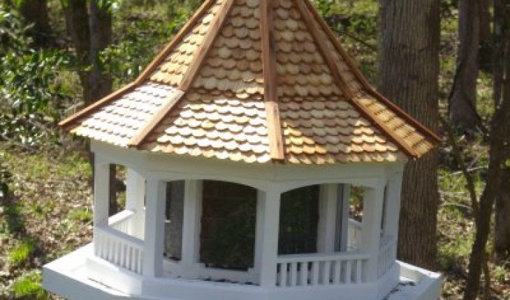 how-to-build-a-bird-house-for-a-cardinal-diy-and-repair-guides