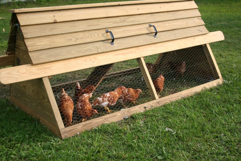 How to Build a Hen House