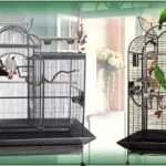 How to Build a Parrot Cage