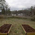 How to Build Raised Garden Beds