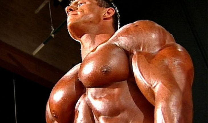 How to Build Big Biceps DIY and Repair Guides