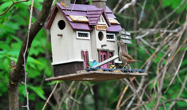 How To Build A Bird Feeder Diy And Repair Guides