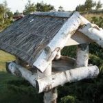 How to Build a Bird House