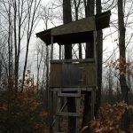 How to Build a Deer Blind