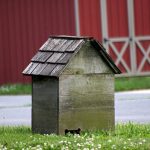 How to Build a Dog House